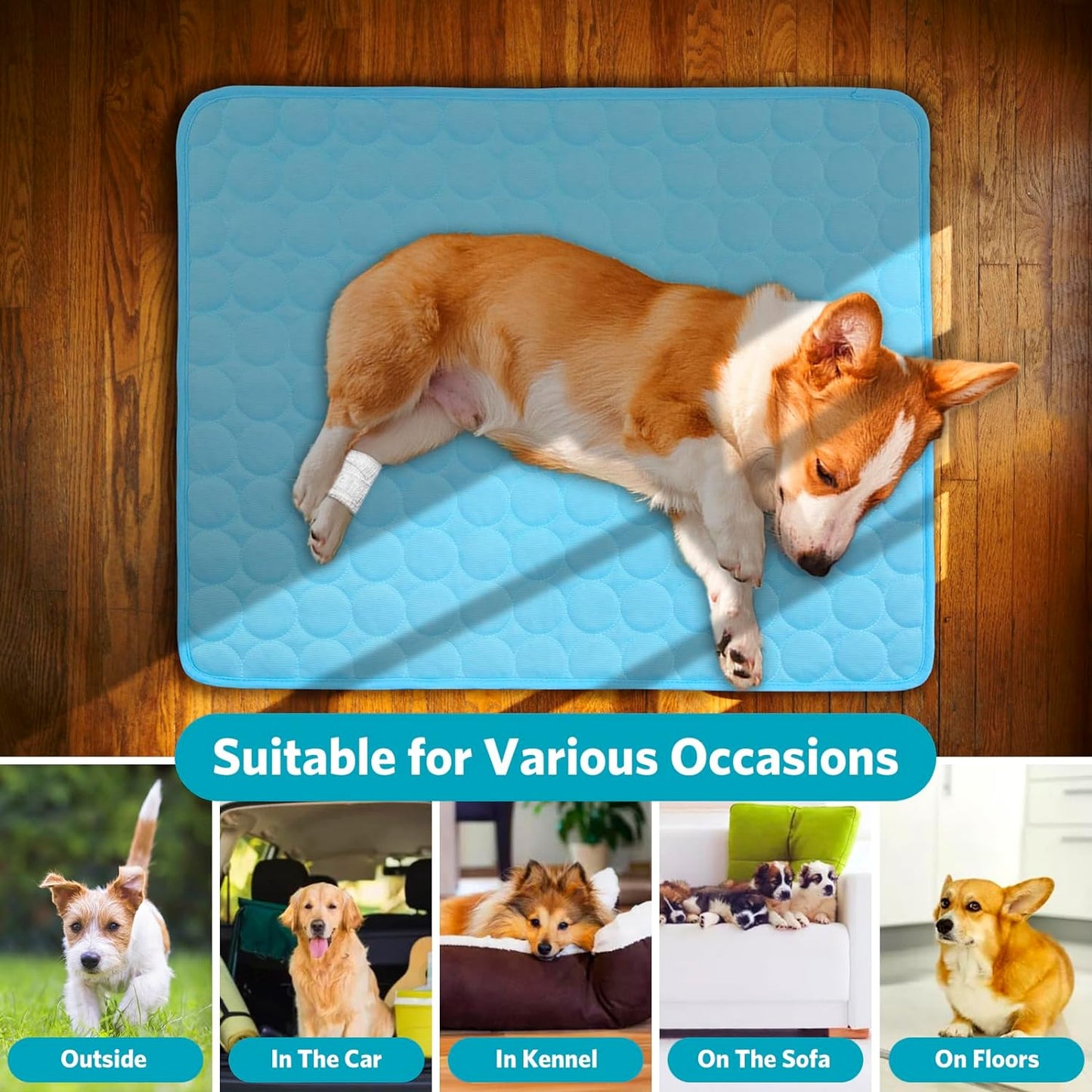 PawChill™ – Cooling Mat for Dogs & Cats